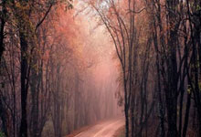 米兰体育官方登录入口-荷兰国脚正式确认加盟德甲劲旅，领跑射手榜引发热议