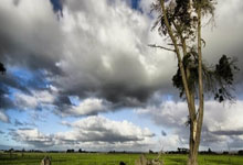 上海申花战胜天津天海，取得两连胜