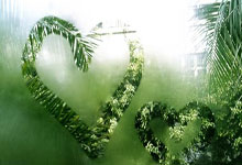 白俄罗斯队在比赛中表现出色，战胜对手——一场荣耀与速度的完美演绎