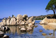 南美劲旅再次展现统治力，晋级下一轮